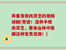 井里发现肉灵芝的视频讲解(奇迹！深井中现肉灵芝，原来山林中隐藏这种宝贵资源！)