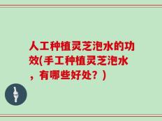 人工种植灵芝泡水的功效(手工种植灵芝泡水，有哪些好处？)