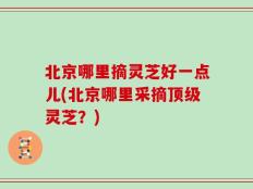 北京哪里摘灵芝好一点儿(北京哪里采摘顶级灵芝？)