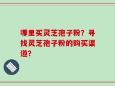 哪里买灵芝孢子粉？寻找灵芝孢子粉的购买渠道？