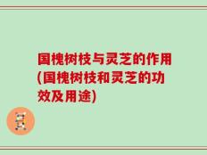 国槐树枝与灵芝的作用(国槐树枝和灵芝的功效及用途)