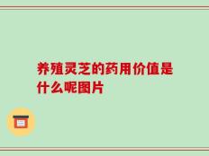 养殖灵芝的药用价值是什么呢图片