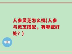 人参灵芝怎么样(人参与灵芝搭配，有哪些好处？)