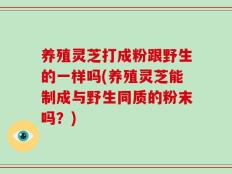 养殖灵芝打成粉跟野生的一样吗(养殖灵芝能制成与野生同质的粉末吗？)