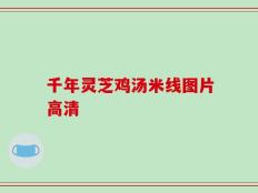 千年灵芝鸡汤米线图片高清