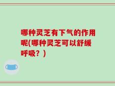 哪种灵芝有下气的作用呢(哪种灵芝可以舒缓呼吸？)