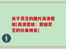关于灵芝的图片高清壁纸(高清壁纸：震撼灵芝的壮美视角)
