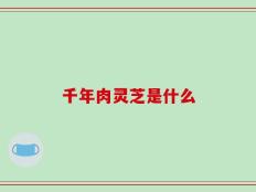千年肉灵芝是什么