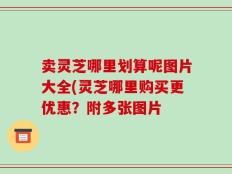 卖灵芝哪里划算呢图片大全(灵芝哪里购买更优惠？附多张图片