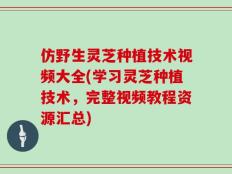 仿野生灵芝种植技术视频大全(学习灵芝种植技术，完整视频教程资源汇总)