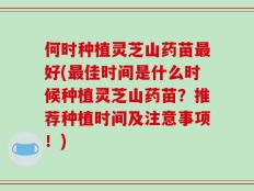 何时种植灵芝山药苗最好(最佳时间是什么时候种植灵芝山药苗？推荐种植时间及注意事项！)