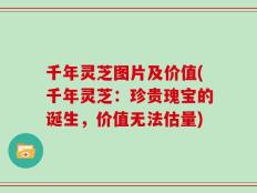 千年灵芝图片及价值(千年灵芝：珍贵瑰宝的诞生，价值无法估量)
