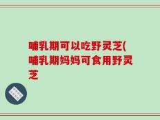 哺乳期可以吃野灵芝(哺乳期妈妈可食用野灵芝