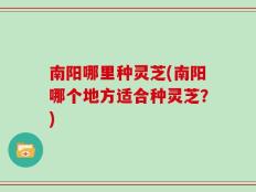 南阳哪里种灵芝(南阳哪个地方适合种灵芝？)