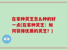 在家种灵芝怎么种的好一点(在家种灵芝：如何获得优质的灵芝？)