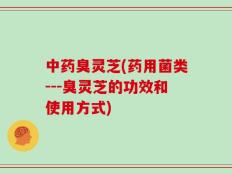 中药臭灵芝(药用菌类---臭灵芝的功效和使用方式)