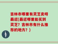 吉林市哪里有灵芝卖呀最近(最近哪里能买到灵芝？吉林市有什么推荐的地方？)