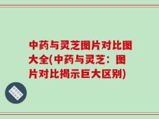 中药与灵芝图片对比图大全(中药与灵芝：图片对比揭示巨大区别)