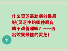 什么灵芝最助眠效果最好(灵芝中的哪种最有助于改善睡眠？——选出效果最佳的灵芝)