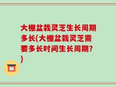 大棚盆栽灵芝生长周期多长(大棚盆栽灵芝需要多长时间生长周期？)