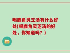 喝鹿角灵芝汤有什么好处(喝鹿角灵芝汤的好处，你知道吗？)