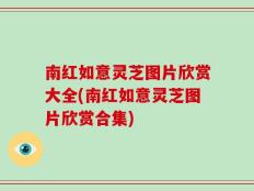 南红如意灵芝图片欣赏大全(南红如意灵芝图片欣赏合集)