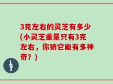 3克左右的灵芝有多少(小灵芝重量只有3克左右，你猜它能有多神奇？)
