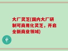 大厂灵芝(国内大厂研制可商用化灵芝，开启全新商业领域)