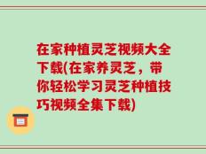 在家种植灵芝视频大全下载(在家养灵芝，带你轻松学习灵芝种植技巧视频全集下载)