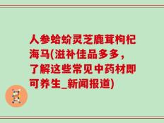 人参蛤蚧灵芝鹿茸枸杞海马(滋补佳品多多，了解这些常见中药材即可养生_新闻报道)