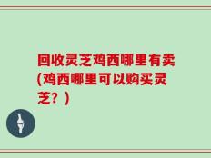 回收灵芝鸡西哪里有卖(鸡西哪里可以购买灵芝？)
