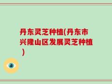 丹东灵芝种植(丹东市兴隆山区发展灵芝种植 )