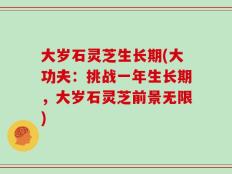 大岁石灵芝生长期(大功夫：挑战一年生长期，大岁石灵芝前景无限)