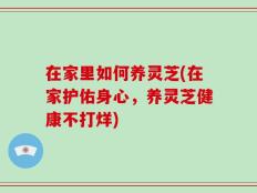 在家里如何养灵芝(在家护佑身心，养灵芝健康不打烊)