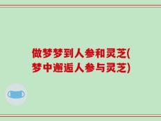 做梦梦到人参和灵芝(梦中邂逅人参与灵芝)