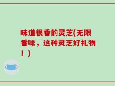 味道很香的灵芝(无限香味，这种灵芝好礼物！)