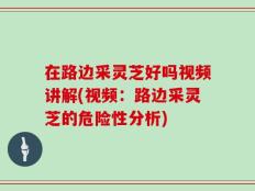 在路边采灵芝好吗视频讲解(视频：路边采灵芝的危险性分析)