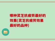哪种灵芝抗疲劳最好的效果(灵芝抗疲劳效果最好的品种)