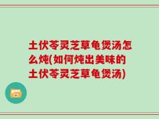 土伏苓灵芝草龟煲汤怎么炖(如何炖出美味的土伏苓灵芝草龟煲汤)