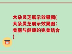 大朵灵芝展示效果图(大朵灵芝展示效果图：美丽与健康的完美结合)