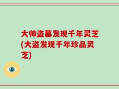 大帅盗墓发现千年灵芝(大盗发现千年珍品灵芝)