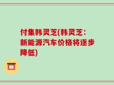 付集韩灵芝(韩灵芝：新能源汽车价格将逐步降低)