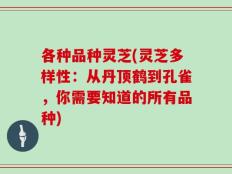 各种品种灵芝(灵芝多样性：从丹顶鹤到孔雀，你需要知道的所有品种)