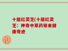 十层红灵芝(十层红灵芝：神奇中草药带来健康奇迹