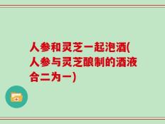 人参和灵芝一起泡酒(人参与灵芝酿制的酒液合二为一)