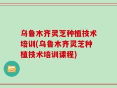 乌鲁木齐灵芝种植技术培训(乌鲁木齐灵芝种植技术培训课程)