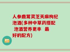 人参鹿茸灵芝天麻枸杞泡酒(多种中草药搭配 泡酒营养更丰  最好的配方)