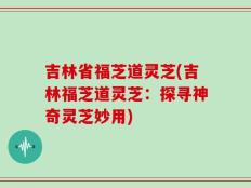 吉林省福芝道灵芝(吉林福芝道灵芝：探寻神奇灵芝妙用)