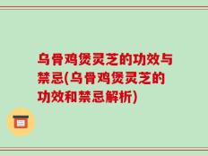 乌骨鸡煲灵芝的功效与禁忌(乌骨鸡煲灵芝的功效和禁忌解析)
