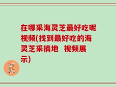 在哪采海灵芝最好吃呢视频(找到最好吃的海灵芝采摘地  视频展示)